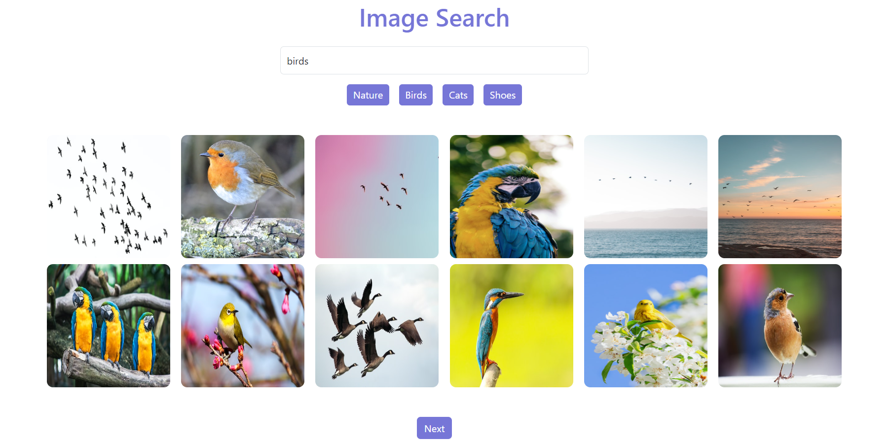 image-search-project